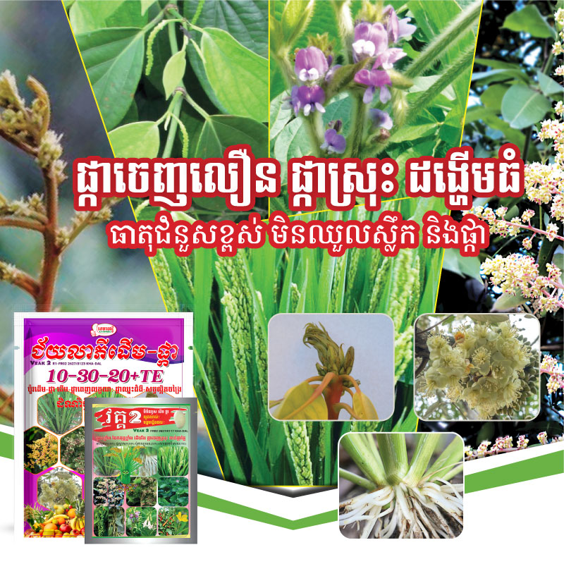 WEBSIDE-PRODUCT-VEAK2