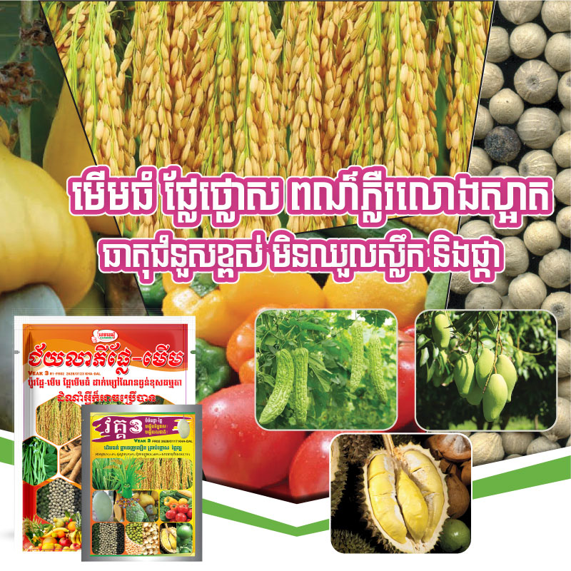 WEBSIDE-PRODUCT-VEAK3