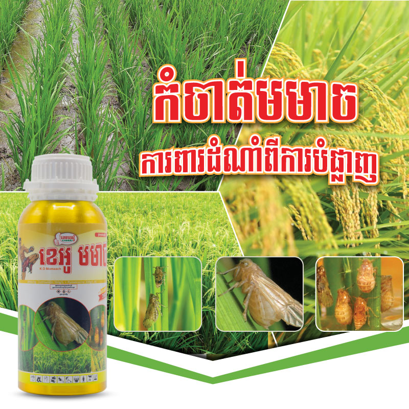 WEBSIDE-PRODUCT-MOMEACH