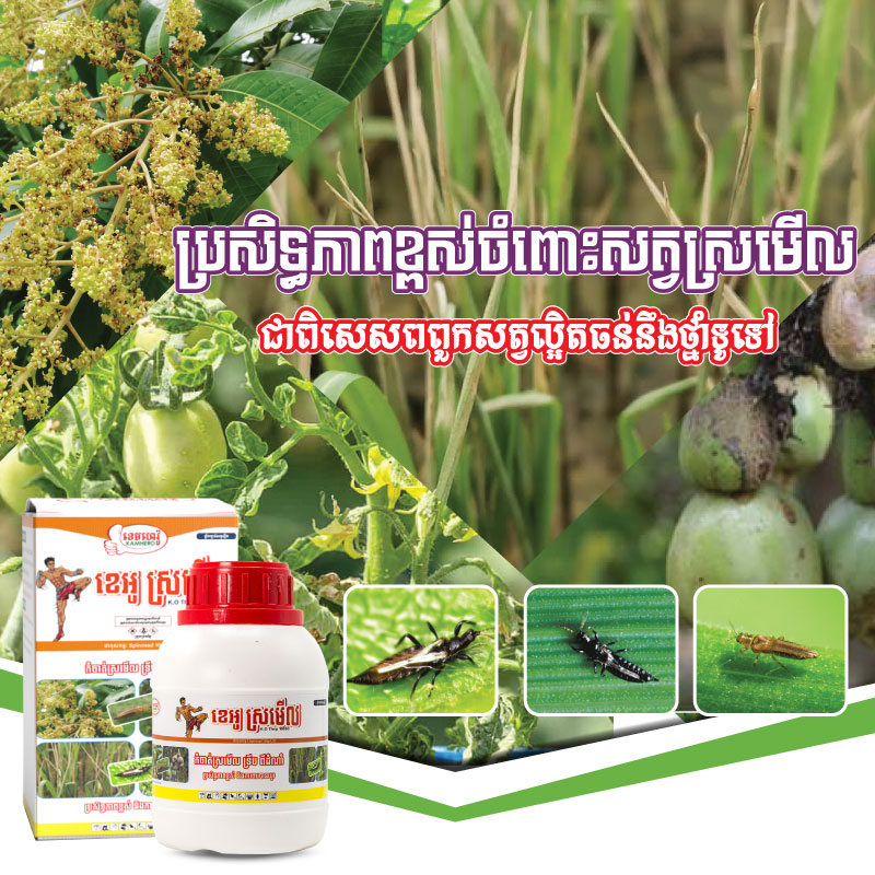 WEBSIDE-PRODUCT-SROMERL