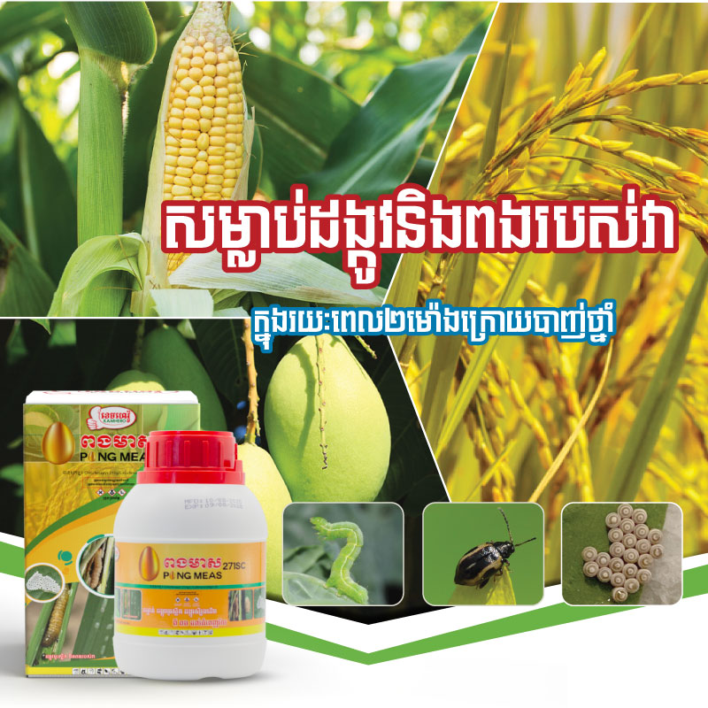 WEBSIDE-PRODUCT-PONGMEAS